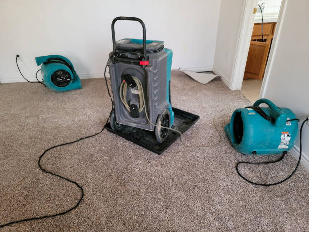 Best Fire Damage Restoration  in Sioux Falls, SD