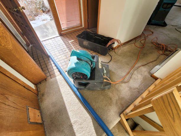 Best Mold removal after water damage  in Sioux Falls, SD