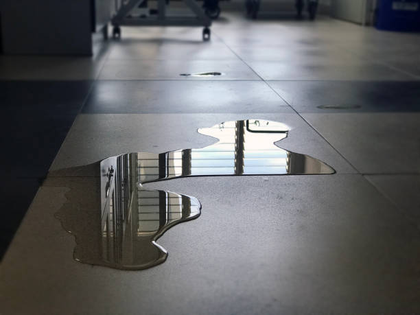 Best 24-hour water damage restoration  in Sioux Falls, SD