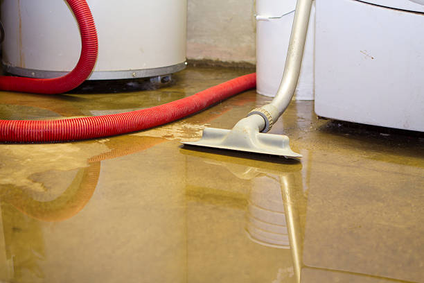 Best Water damage restoration process  in Sioux Falls, SD