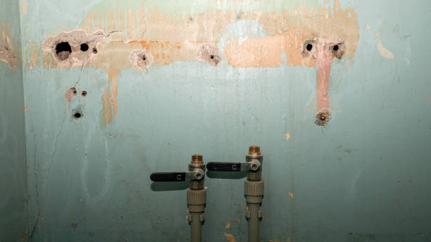 Best Carpet water damage restoration  in Sioux Falls, SD