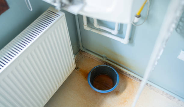 Best Flood damage cleanup  in Sioux Falls, SD