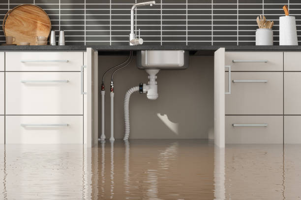  Sioux Falls, SD Water damage restoration Pros