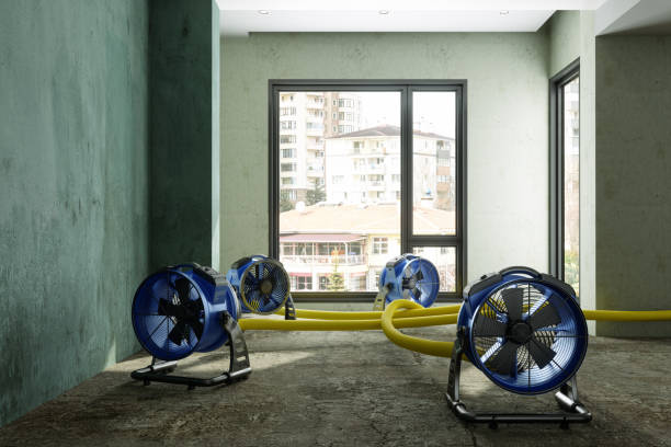 Water damage restoration process in SD