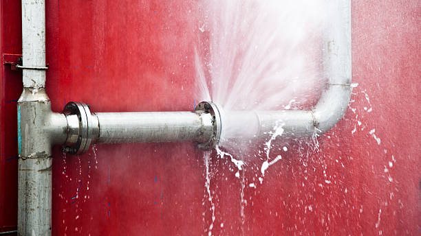 Best Professional water damage repair  in Sioux Falls, SD